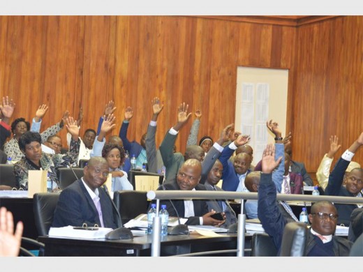 ANC councillors occupy the majority of seats during the voting process for members to the mayoral committee.